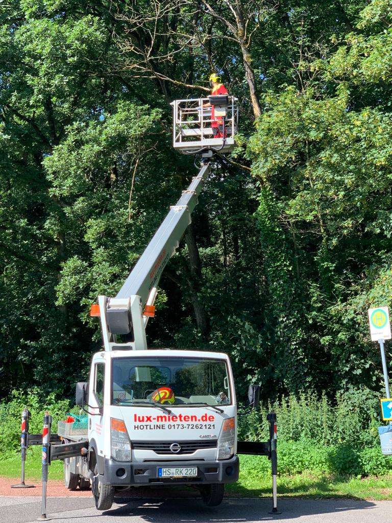 Baumpflege und Baumfällung im Nettetal